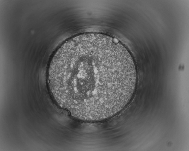 X0000101400297200807281009