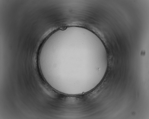 X0000101400298200807281009