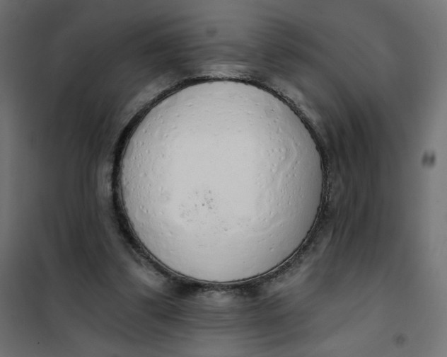 X0000101400299200807281009