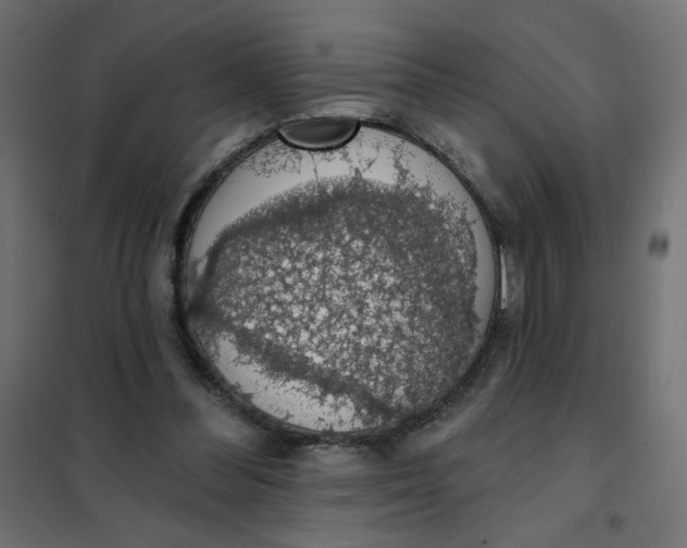 X0000101400300200807281009