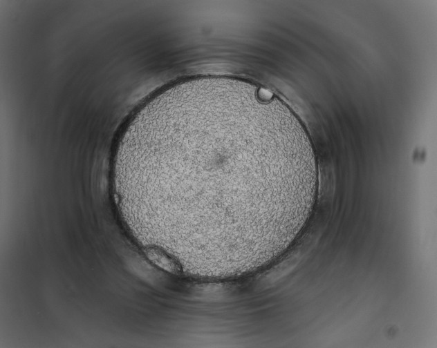 X0000101400301200807281009