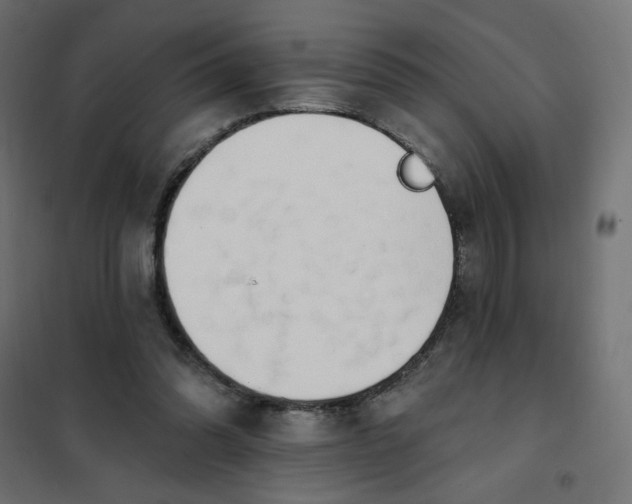 X0000101400302200807281009