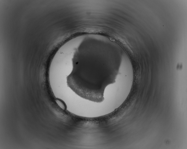 X0000101400303200807281008