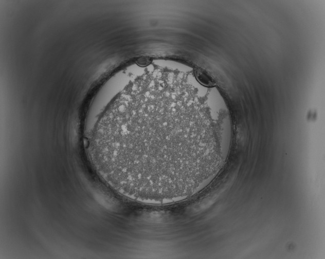 X0000101400304200807281008