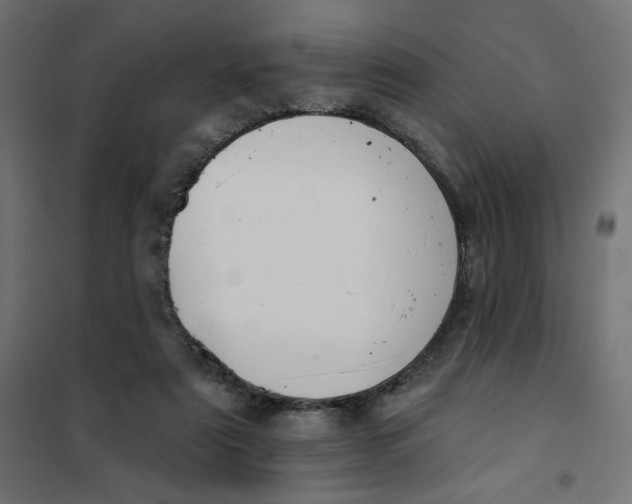 X0000101400307200807281008