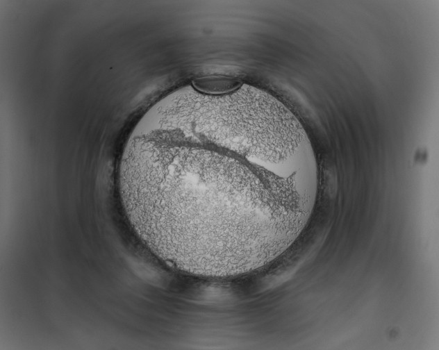 X0000101400308200807281008