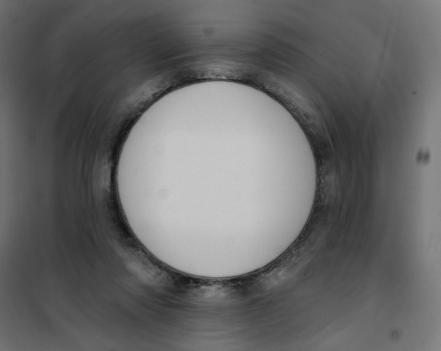 X0000101400310200807281008