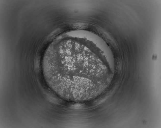 X0000101400312200807281008