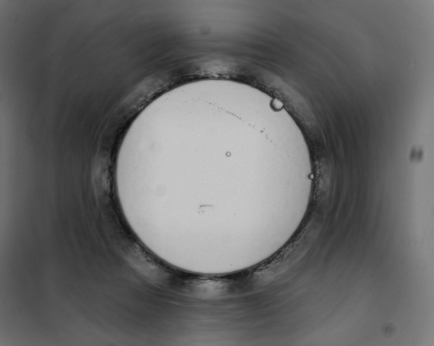 X0000101400313200807281008