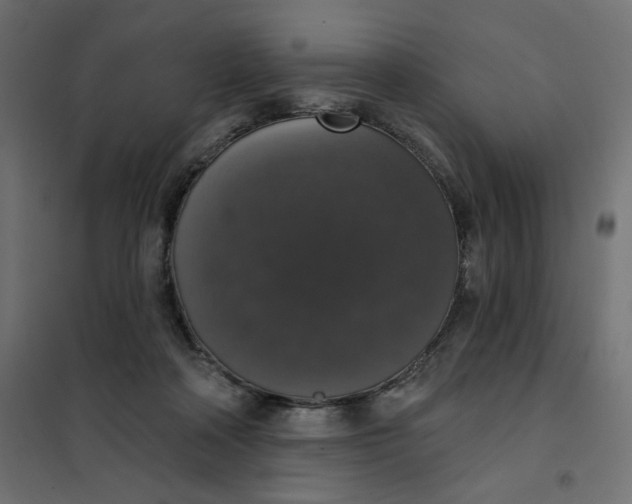 X0000101400314200807281008