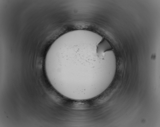 X0000101400315200807281008