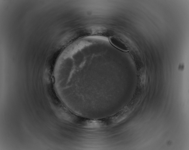 X0000101400316200807281008