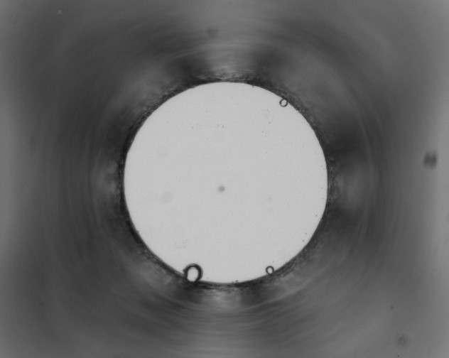 X0000101400317200807281008