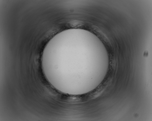 X0000101400319200807281008