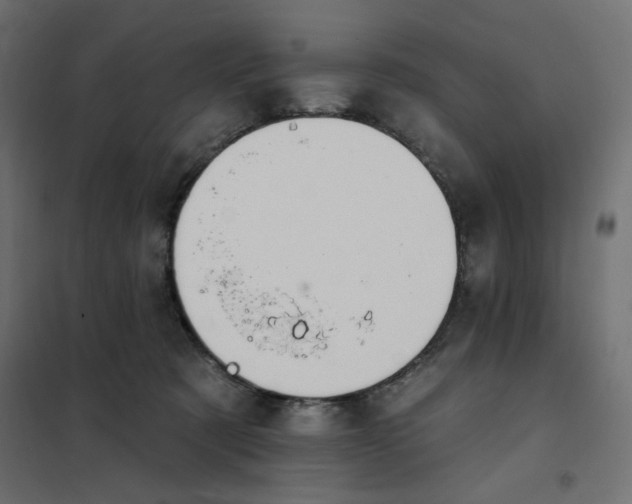 X0000101400321200807281008