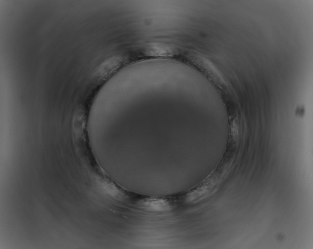 X0000101400322200807281008