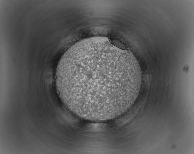 X0000101400323200807281008