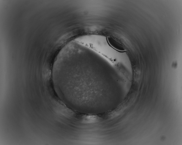 X0000101400324200807281008