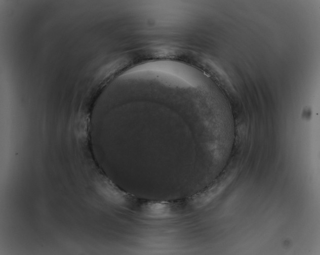 X0000101400325200807281008