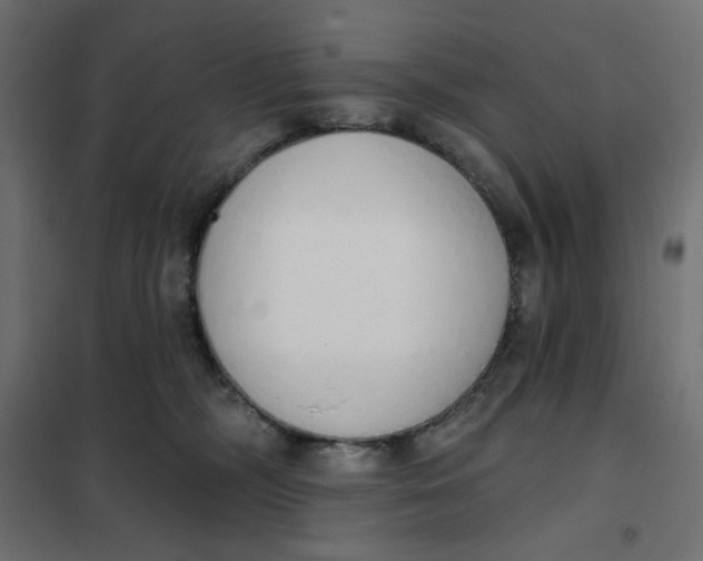 X0000101400326200807281008