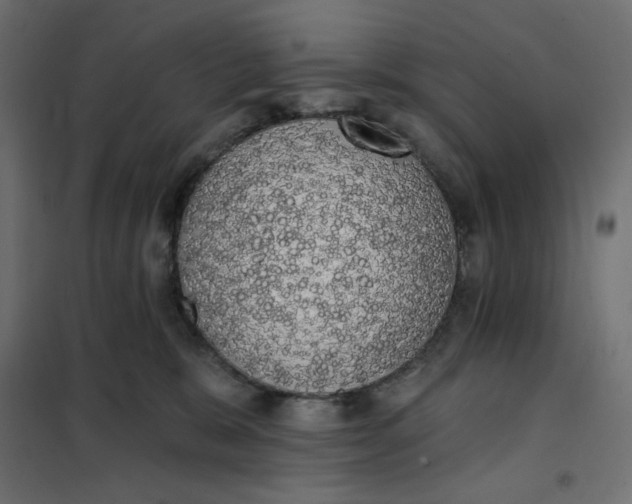 X0000101400327200807281008