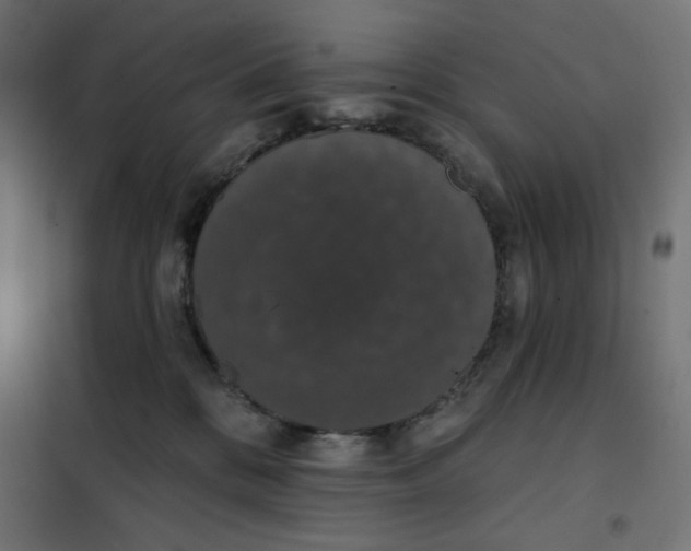 X0000101400328200807281008