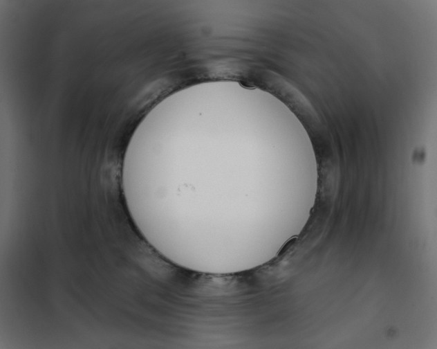 X0000101400329200807281008