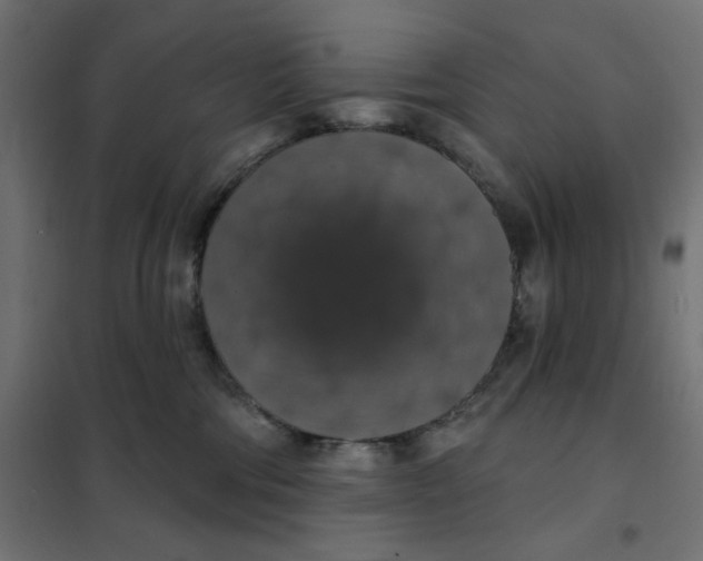 X0000101400330200807281008