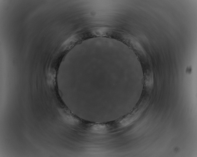 X0000101400332200807281008