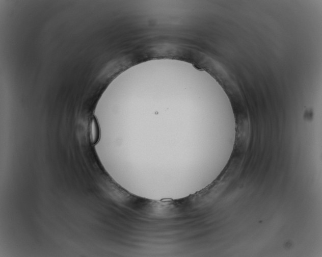 X0000101400333200807281008