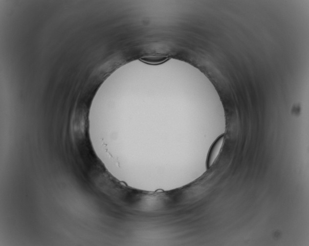 X0000101400334200807281008