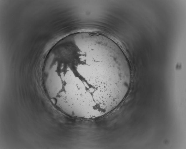 X0000101400337200807281007