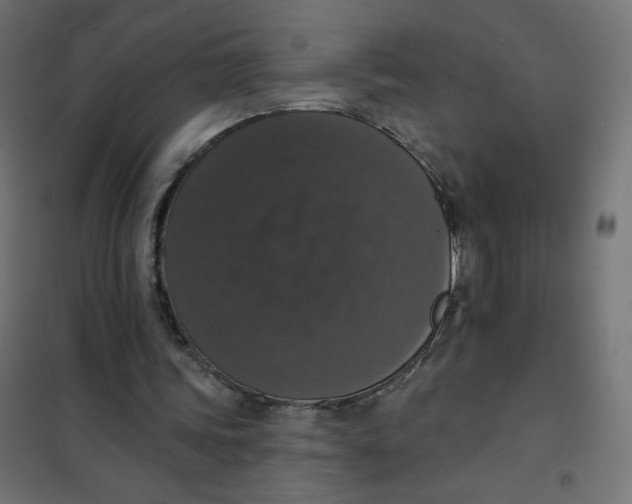 X0000101400339200807281007