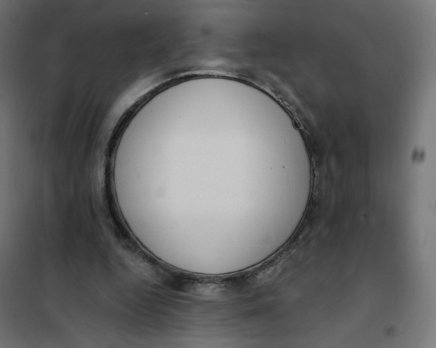 X0000101400344200807281007