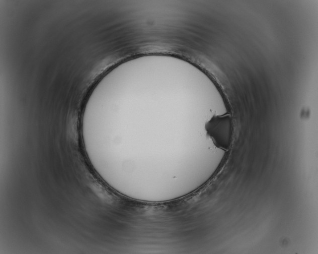 X0000101400345200807281007