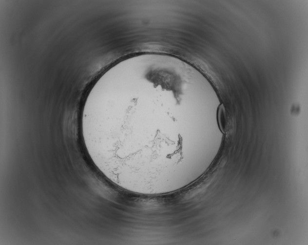 X0000101400349200807281007