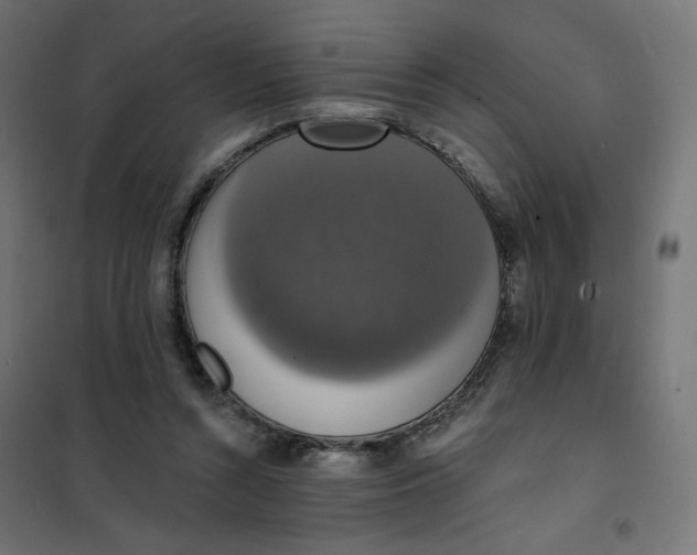 X0000101400352200807281007