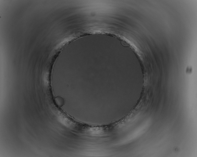 X0000101400353200807281007