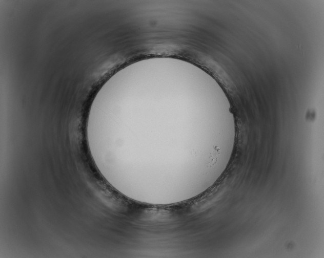 X0000101400354200807281007