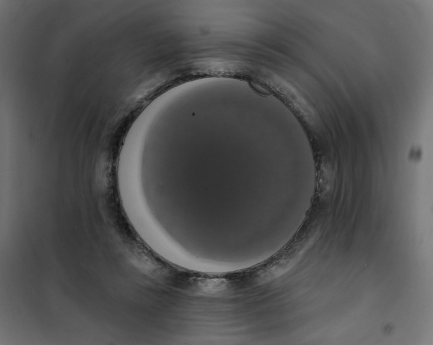 X0000101400355200807281007