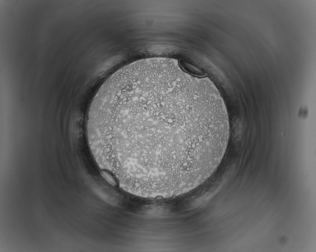 X0000101400356200807281007