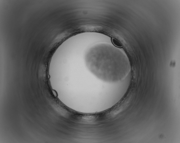 X0000101400357200807281007