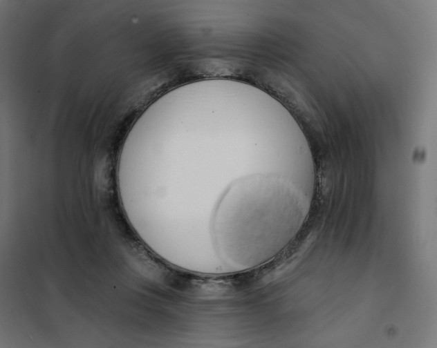 X0000101400359200807281008