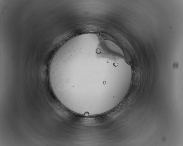 X0000101400361200807281008