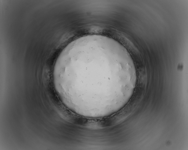 X0000101400363200807281008