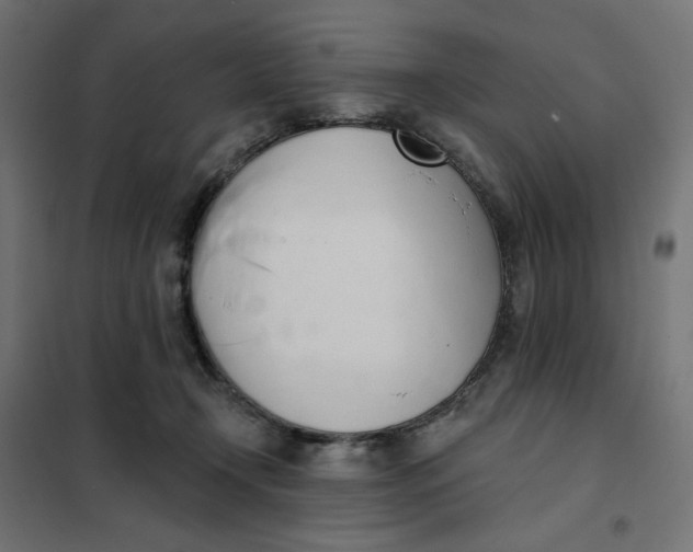 X0000101400366200807281008