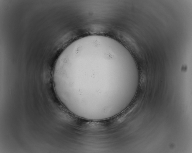 X0000101400367200807281008