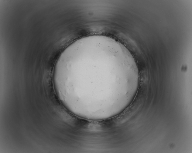 X0000101400369200807281008