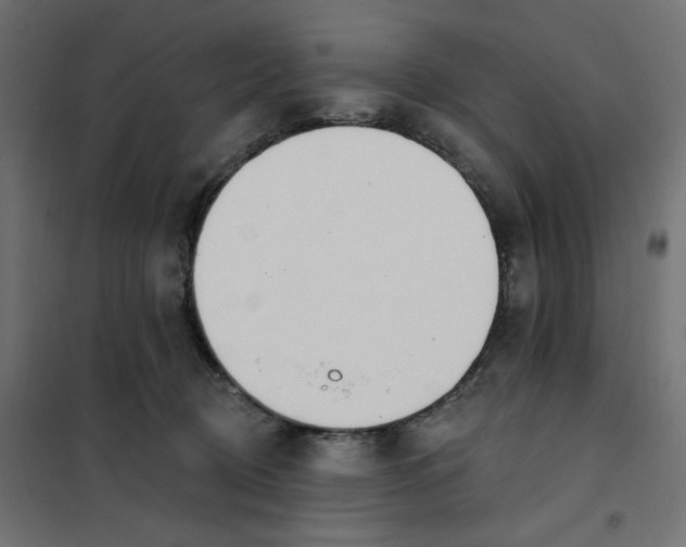 X0000101400370200807281008