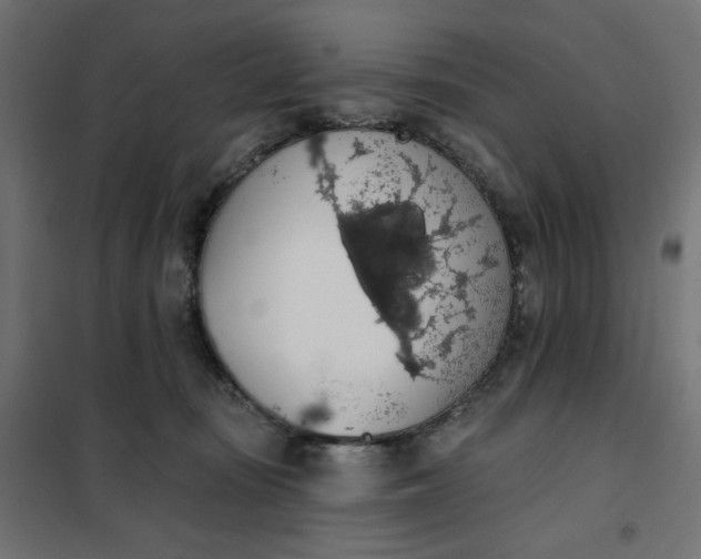 X0000101400371200807281008